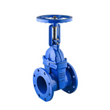 Cast iron flange soft seal gate valve